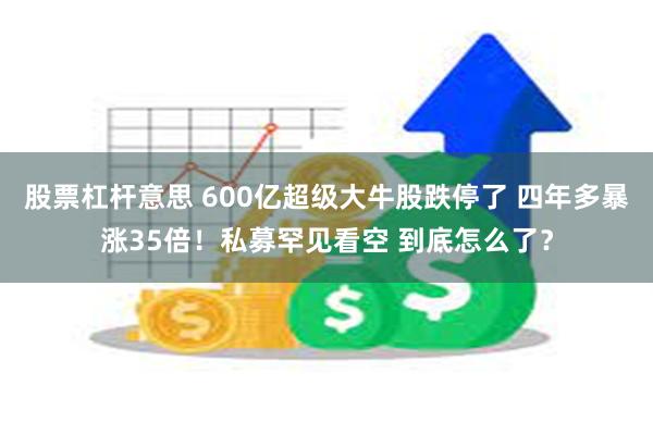 股票杠杆意思 600亿超级大牛股跌停了 四年多暴涨35倍！私募罕见看空 到底怎么了？