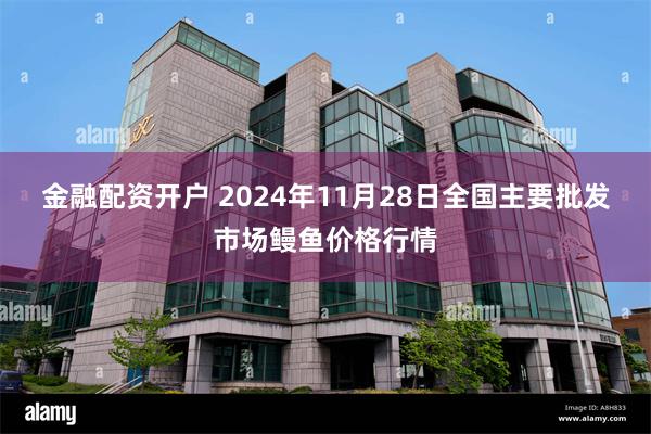 金融配资开户 2024年11月28日全国主要批发市场鳗鱼价格行情