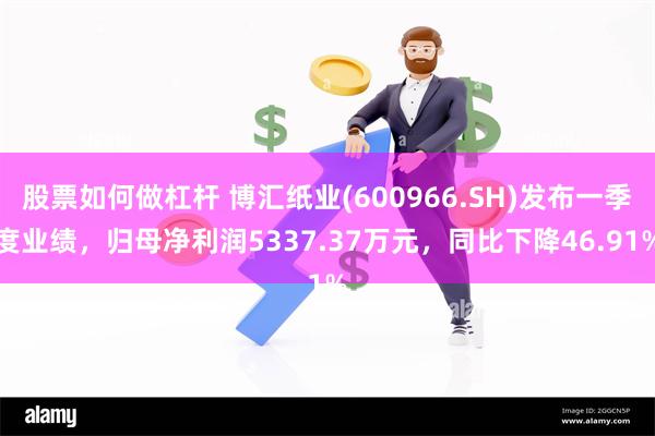 股票如何做杠杆 博汇纸业(600966.SH)发布一季度业绩，归母净利润5337.37万元，同比下降46.91%