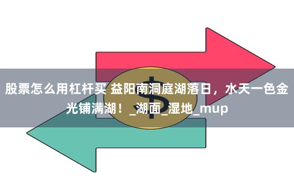 股票怎么用杠杆买 益阳南洞庭湖落日，水天一色金光铺满湖！_湖面_湿地_mup
