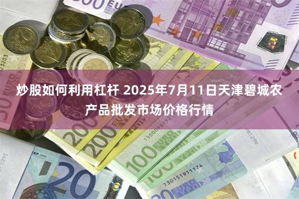 炒股如何利用杠杆 2025年7月11日天津碧城农产品批发市场价格行情