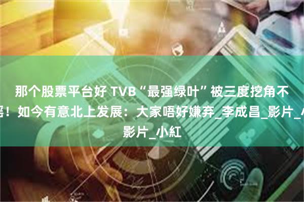 那个股票平台好 TVB“最强绿叶”被三度挖角不动摇！如今有意北上发展：大家唔好嫌弃_李成昌_影片_小紅