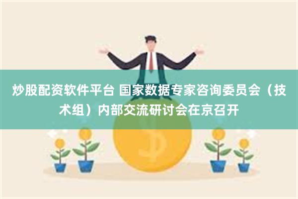 炒股配资软件平台 国家数据专家咨询委员会（技术组）内部交流研讨会在京召开