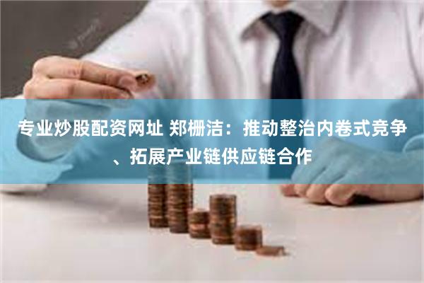 专业炒股配资网址 郑栅洁：推动整治内卷式竞争、拓展产业链供应链合作