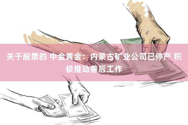 关于股票的 中金黄金：内蒙古矿业公司已停产 积极推动善后工作