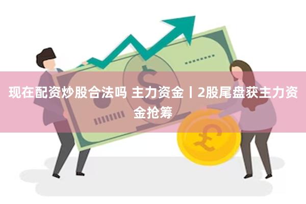 现在配资炒股合法吗 主力资金丨2股尾盘获主力资金抢筹